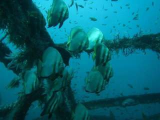 FB_IMG_1525091453216 (003).jpg