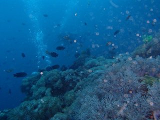 P1010007.jpg